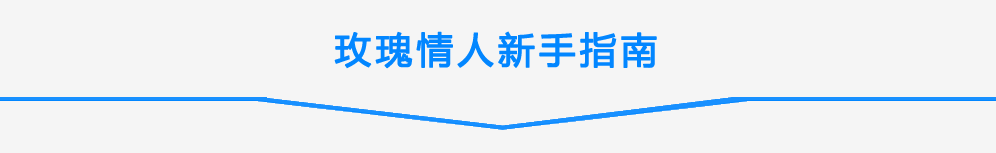 玫瑰网新手指南